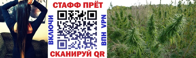 Названия наркотиков Яровое Канабис  A PVP  МЕТАМФЕТАМИН  kraken зеркало  КОКАИН  Меф  Псилоцибиновые грибы 