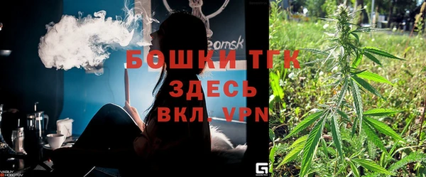 эйфоретик Горняк