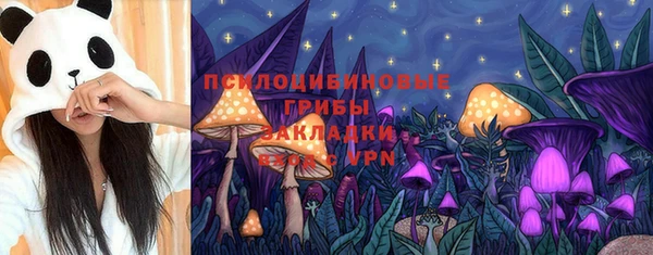 эйфоретик Горняк
