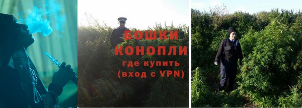эйфоретик Горняк