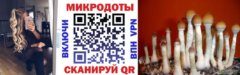 гидра ссылки Яровое Псилоцибиновые грибы ЛСД